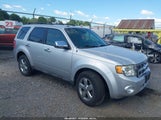 Ford Escape Xlt 1FMCU9D73BKA20517 снимка