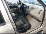 Ford Escape Xlt/Xlt Sport 1FMYU03107KB18622 fotografie