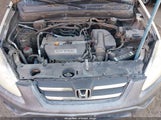 HONDA CR-V LX JHLRD78595C041286 снимка