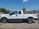 Ford F-150 Stx 1FTEX1EM3BFB36917 снимка