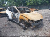 Hyundai Tucson Limited 5NMJECAE5NH071610 photo