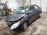 Toyota Corolla Le 2T1BU4EE9AC403863 снимка