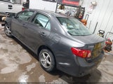 Toyota Corolla Le 2T1BU4EE9AC403863 снимка