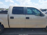 Ford F-150 Xl/Xlt 1FTRW12829FA72231 снимка