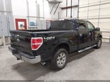 Ford F-150 Xlt 1FTFW1ETXBFD30729 снимка
