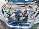 Honda Accord Ex-L V-6 1HGCR3F89DA022646 photo