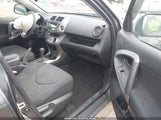 Toyota Rav4 Sport V6 JTMBK32VX86039541 photo