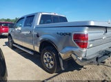 FORD F-150 XLT 1FTFW1ET4BFB41512 снимка