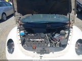 Volkswagen New Beetle S 3VWPW31C58M508820 снимка
