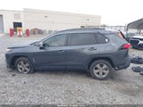 Toyota Rav4 Xle JTMW1RFVXPD101080 снимка