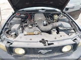 FORD MUSTANG GT DELUXE/GT PREMIUM 1ZVHT82H775289013 photo