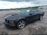 FORD MUSTANG GT DELUXE/GT PREMIUM 1ZVHT82H775289013 fotografie