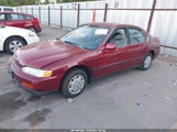 HONDA ACCORD LX JHMCD563XSC022359 снимка