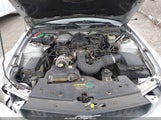 Ford Mustang V6 Deluxe/V6 Premium 1ZVFT80N655259806 photo