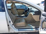 Acura Tl 19UUA66296A025610 снимка