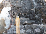 GMC Acadia Denali 1GKKNPLS5HZ129895 снимка