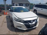 Nissan Maxima 3.5 Platinum/3.5 S/3.5 Sl/3.5 Sr/3.5 Sv 1N4AA6AP4GC421640 photo
