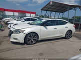 Nissan Maxima 3.5 Platinum/3.5 S/3.5 Sl/3.5 Sr/3.5 Sv 1N4AA6AP4GC421640 photo