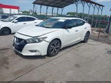 Nissan Maxima 3.5 Platinum/3.5 S/3.5 Sl/3.5 Sr/3.5 Sv 1N4AA6AP4GC421640 photo