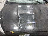 Ford Focus Se 1FADP3K20HL211714 снимка
