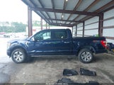 Ford F-150 Platinum 1FTFW1E83PFB68171 снимка