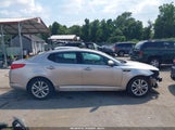 KIA OPTIMA EX 5XXGN4A79DG171207 снимка
