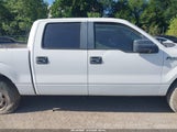 Ford F-150 Xl 1FTFW1EF4BFA55921 fotografie