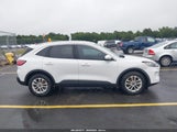 Ford Escape Se 1FMCU0G65LUB38198 снимка