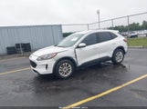 Ford Escape Se 1FMCU0G65LUB38198 снимка