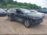 Jeep Cherokee Trailhawk Elite 4X4 1C4PJMBN9KD152950 fotografie