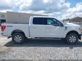 Ford F-150 Xlt 1FTFW1E58MFB03821 снимка