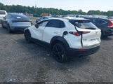 Mazda Cx-30 2.5 Turbo Premium Plus 3MVDMBEY4MM236135 fotografie