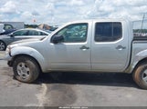 NISSAN FRONTIER SE 1N6AD07U37C438700 снимка