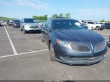 Lincoln Mks 1LNHL9DK3DG616018 снимка