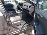 Toyota Rav4 Xle 2T3W1RFVXPC247015 fotografie