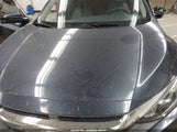 Honda Civic Ex-T JHMFC1F34JX031624 снимка