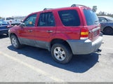 Ford Escape Xlt 1FMYU93125DA22304 снимка