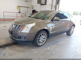 Cadillac Srx Performance Collection 3GYFNCE39ES547911 снимка