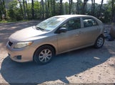 Toyota Corolla Le 2T1BU40E49C124467 снимка