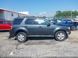 Ford Escape Xlt 1FMCU03G19KD11668 снимка