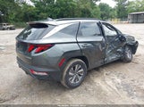 Hyundai Tucson Hybrid Blue KM8JBCD12RU196057 photo