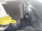 Ram Promaster  Cargo Van High Roof 159 Wb Ext 3C6MRVJGXME545434 снимка