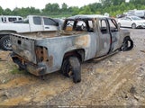 CHEVROLET SILVERADO 1500 WORK TRUCK 1GCEK19C29Z156410 photo