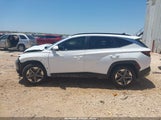 Hyundai Tucson Sel 5NMJB3DEXSH542831 снимка
