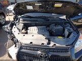 Toyota Rav4 Limited V6 2T3DK4DV5BW053526 снимка