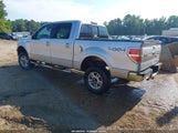 Ford F-150 Fx4/Harley-Davidson/King Ranch/Lariat/Platinum/Xl/Xlt 1FTFW1EV2AFB08895 photo