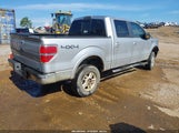 Ford F-150 Fx4/Harley-Davidson/King Ranch/Lariat/Platinum/Xl/Xlt 1FTFW1EV2AFB08895 photo