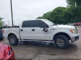 Ford F-150 Xlt 1FTFW1EF8CKD05184 снимка