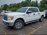 Ford F-150 Xlt 1FTFW1EF8CKD05184 снимка