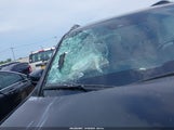 Honda Passport Trail Sport 5FNYF8H60NB013915 photo